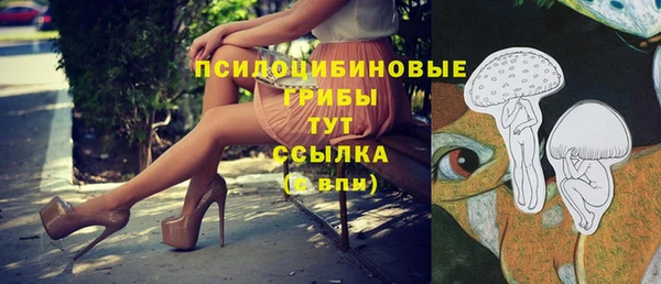 mdma Карталы
