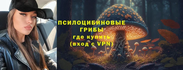 a pvp Каменка